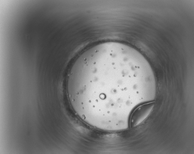 X0000069380112200605262100