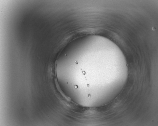 X0000069380119200605262100