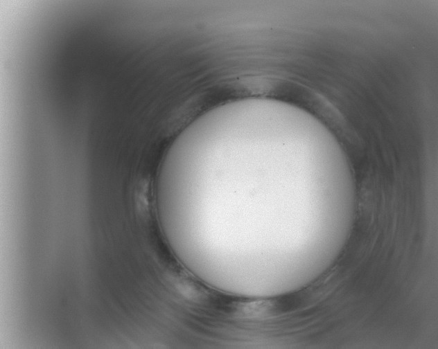 X0000069380122200605262100