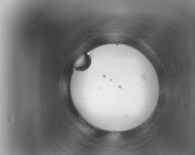 X0000069380124200605262100