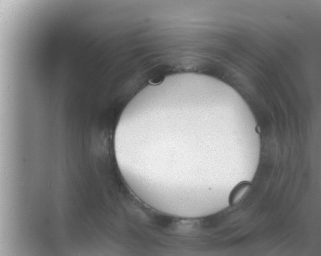 X0000069380126200605262100