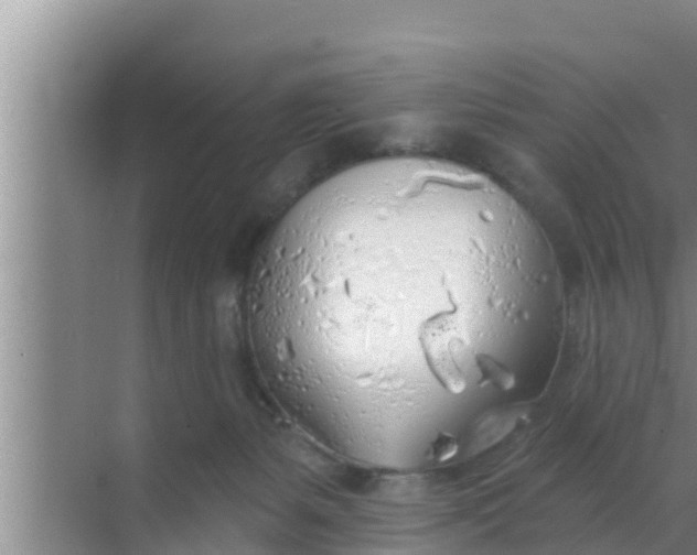 X0000069380127200605262100