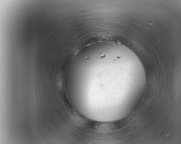 X0000069380129200605262100