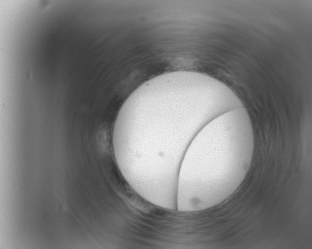 X0000069380130200605262100