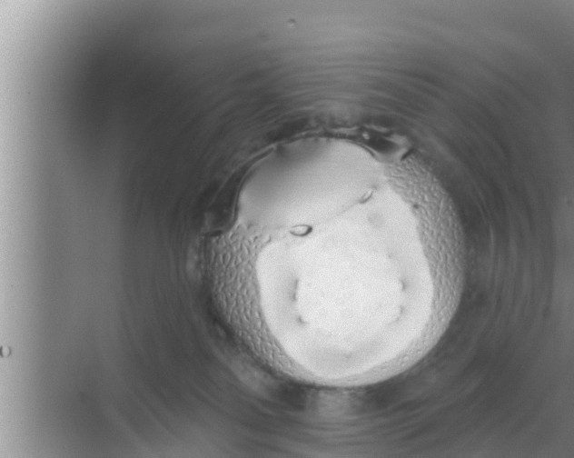 X0000069380134200605262100