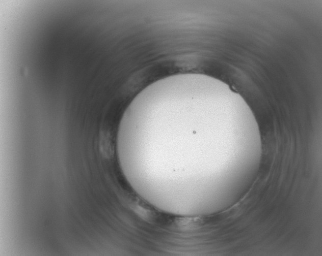 X0000069380136200605262100