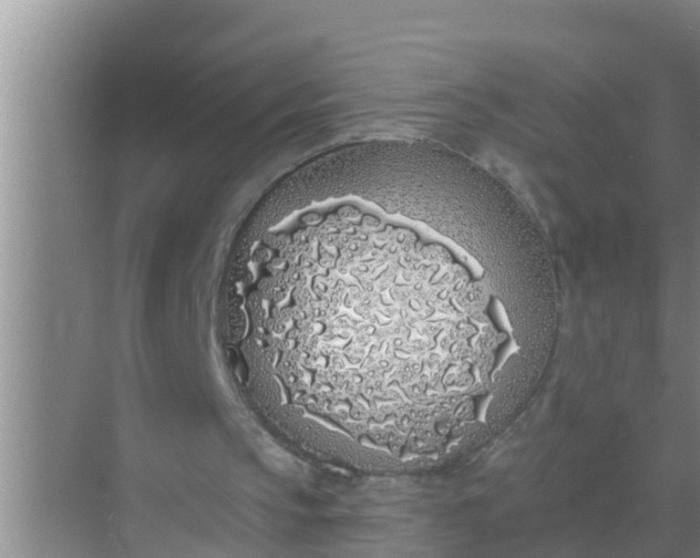 X0000069380145200605262059