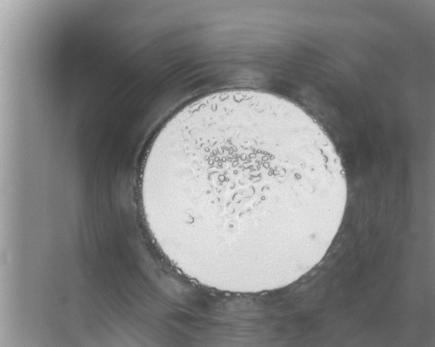 X0000069380146200605262059