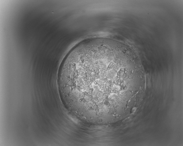 X0000069380147200605262059