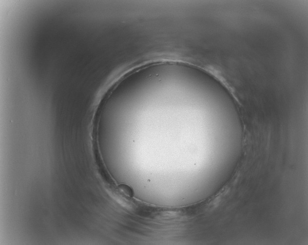 X0000069380151200605262059