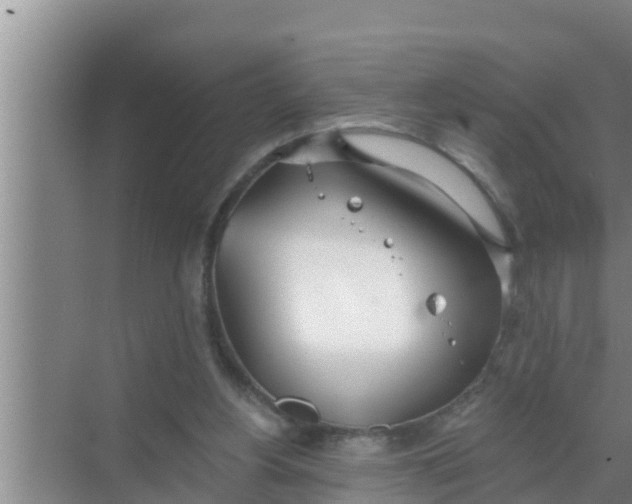 X0000069380156200605262059