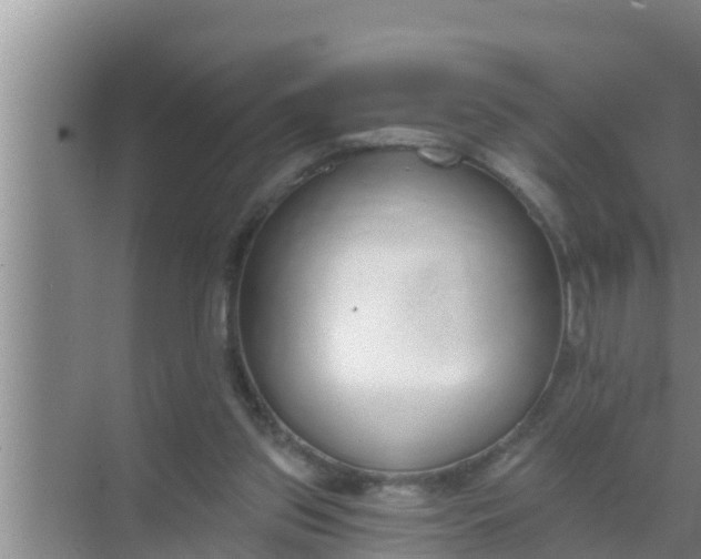 X0000069380157200605262059