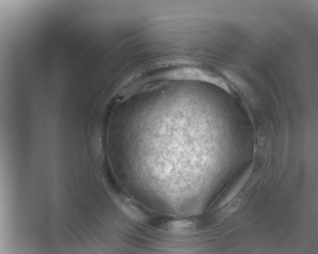 X0000069380158200605262059