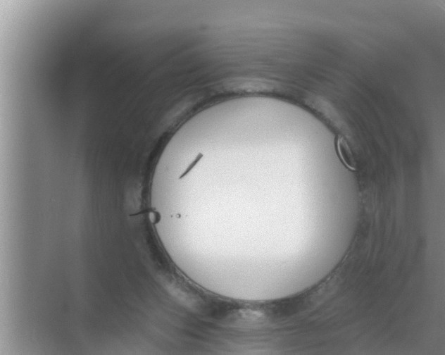 X0000069380159200605262059