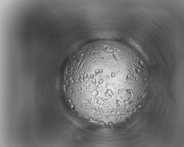 X0000069380161200605262059