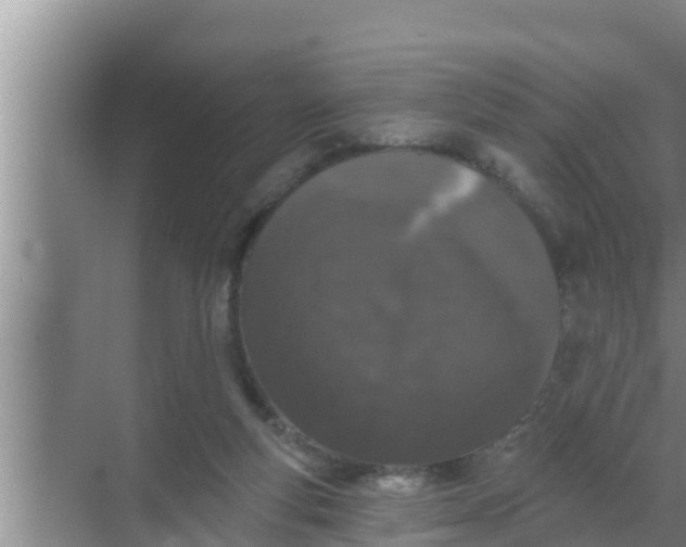 X0000069380163200605262059