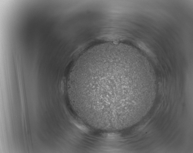 X0000069380165200605262059