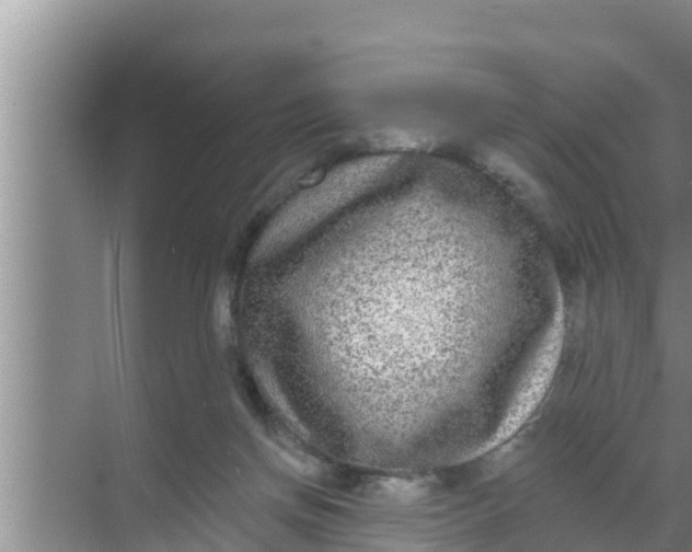 X0000069380166200605262100