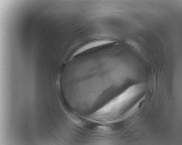 X0000069380167200605262100