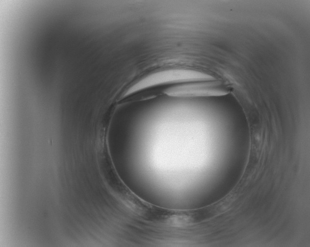 X0000069380168200605262100