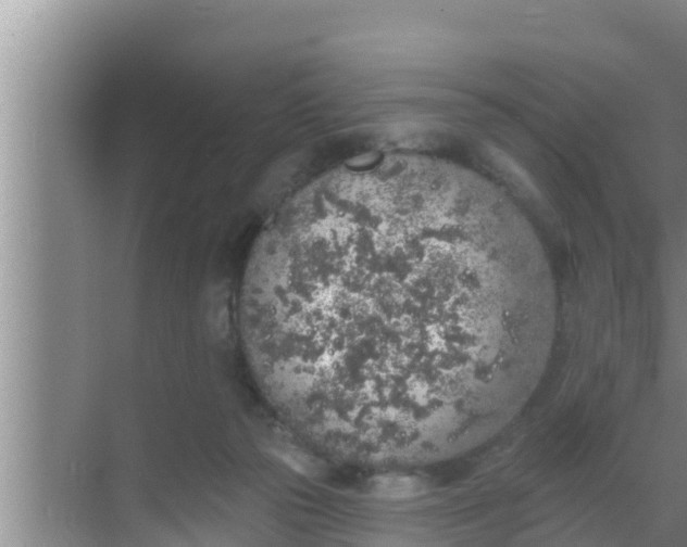 X0000069380169200605262100