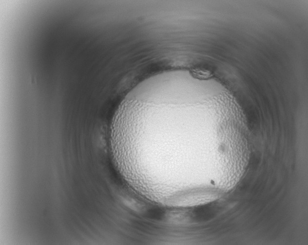 X0000069380175200605262100