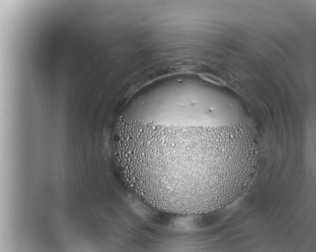 X0000069380178200605262100