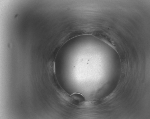 X0000069380184200605262100