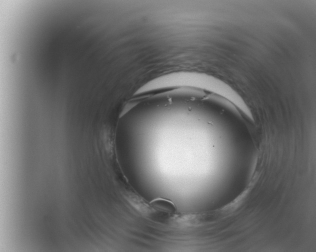 X0000069380186200605262100