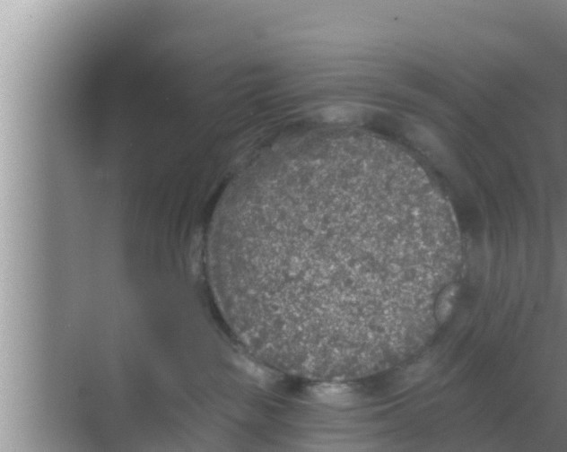 X0000069380189200605262100