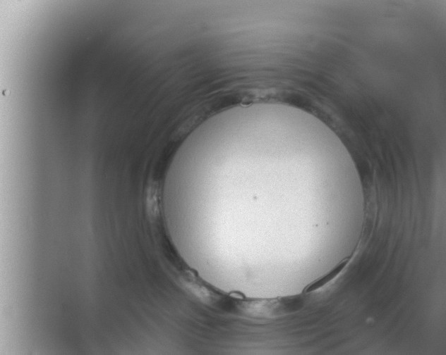 X0000069380191200605262100