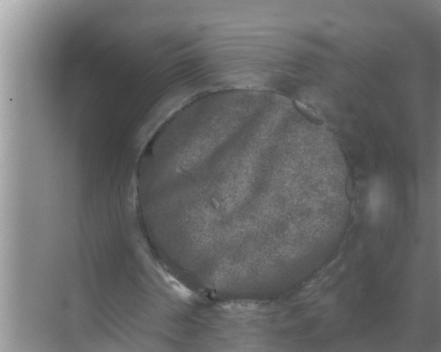 X0000069380194200605262059