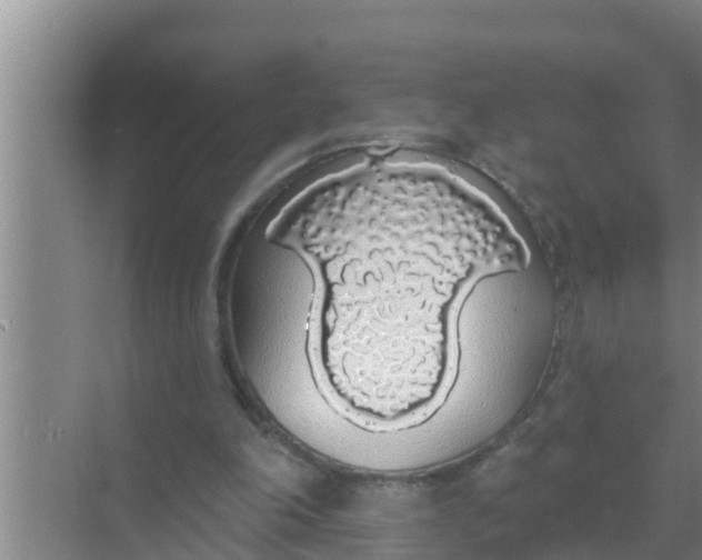 X0000069380198200605262059