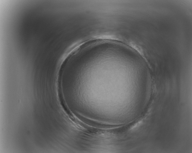 X0000069380199200605262059