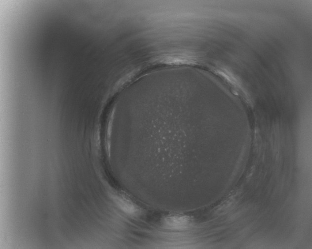 X0000069380202200605262059