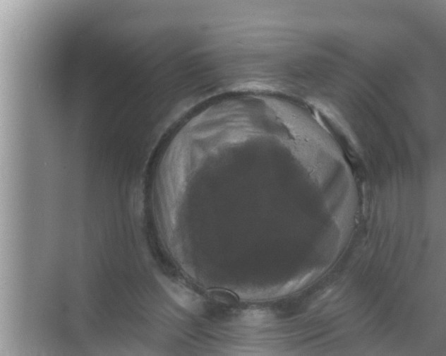 X0000069380204200605262059