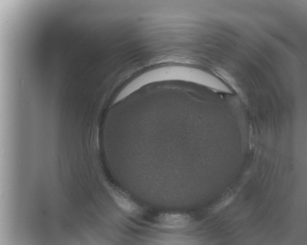 X0000069380205200605262059