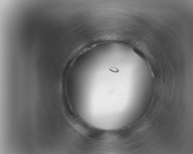 X0000069380207200605262059