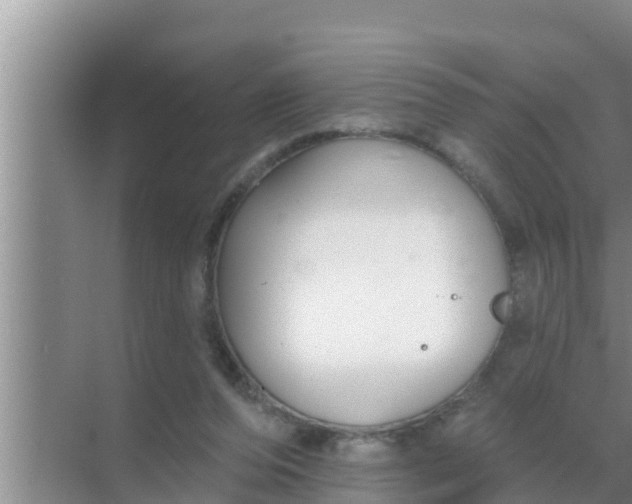 X0000069380208200605262059