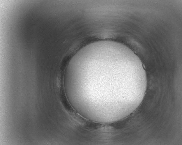 X0000069380210200605262059