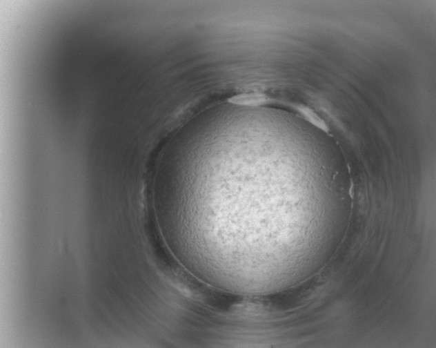 X0000069380211200605262059