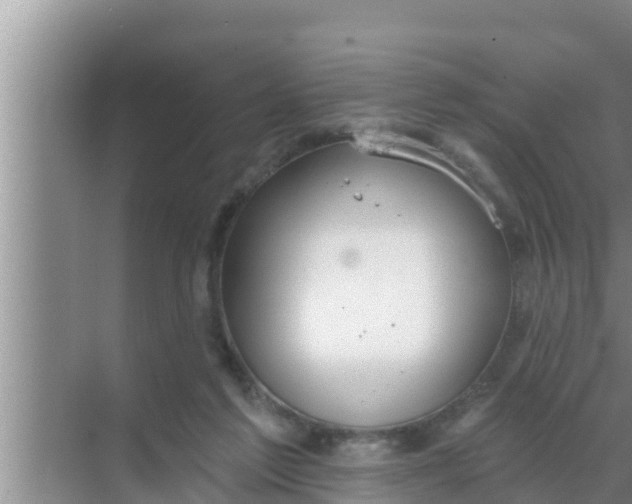 X0000069380213200605262059