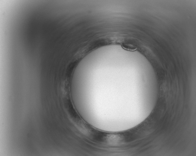 X0000069380218200605262059