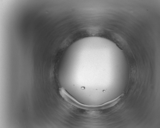 X0000069380221200605262059