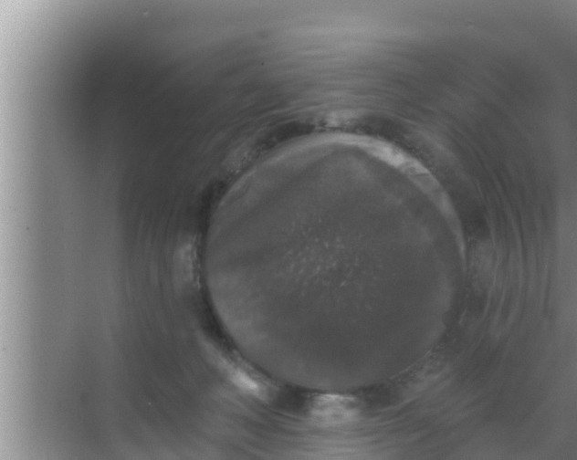 X0000069380222200605262059