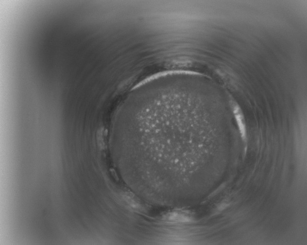 X0000069380224200605262059