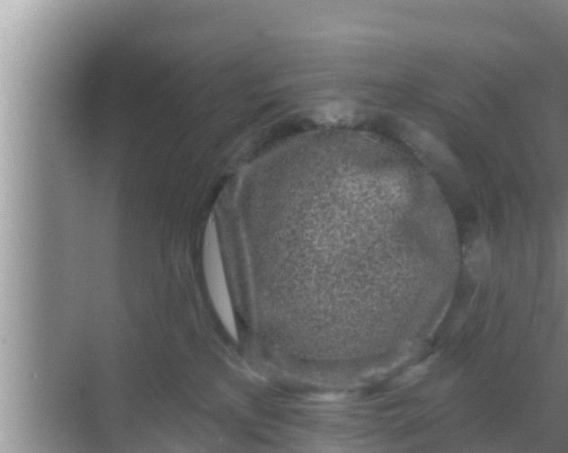 X0000069380233200605262058