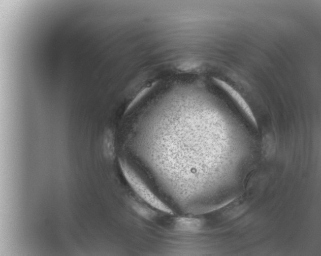 X0000069380234200605262058