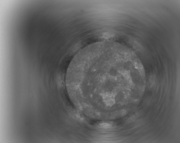 X0000069380236200605262058