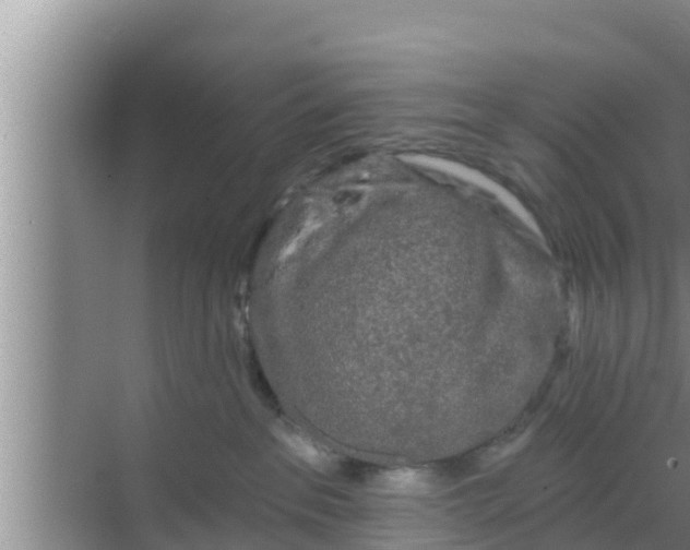 X0000069380237200605262058